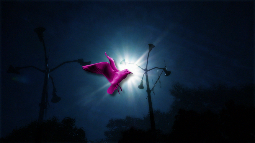 pv_cc_last_000659.png