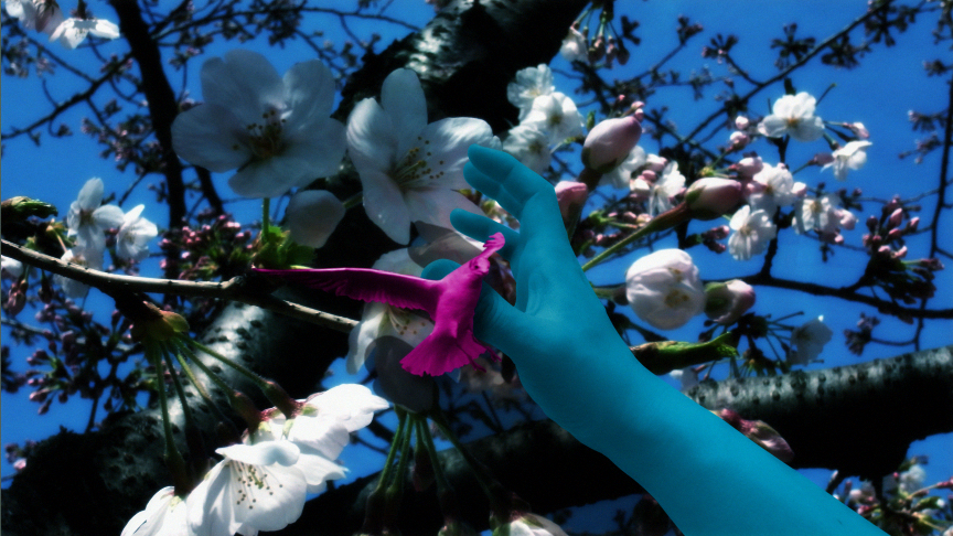 pv_cc_last_004212.png